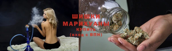 индика Кукмор
