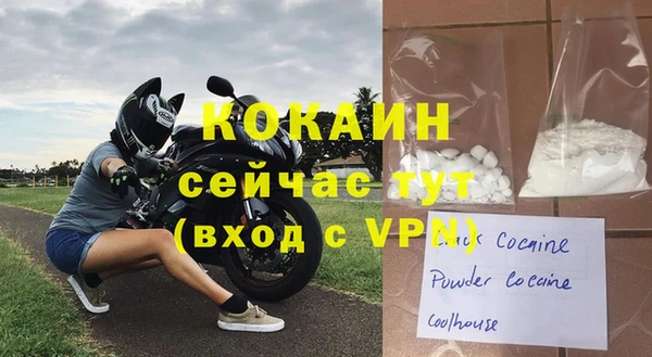 индика Кукмор
