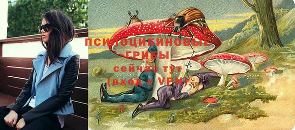 индика Кукмор