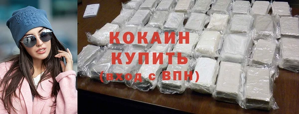 индика Кукмор