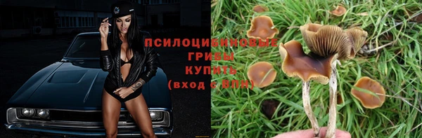 индика Кукмор