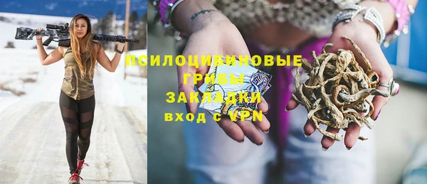 индика Кукмор